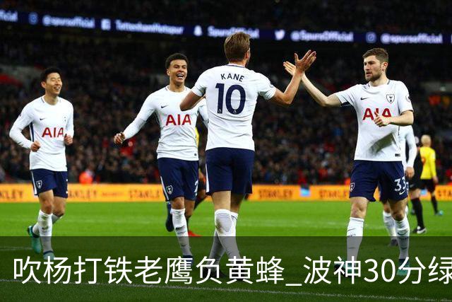吹杨打铁老鹰负黄蜂 波神30分绿军险胜尼克斯